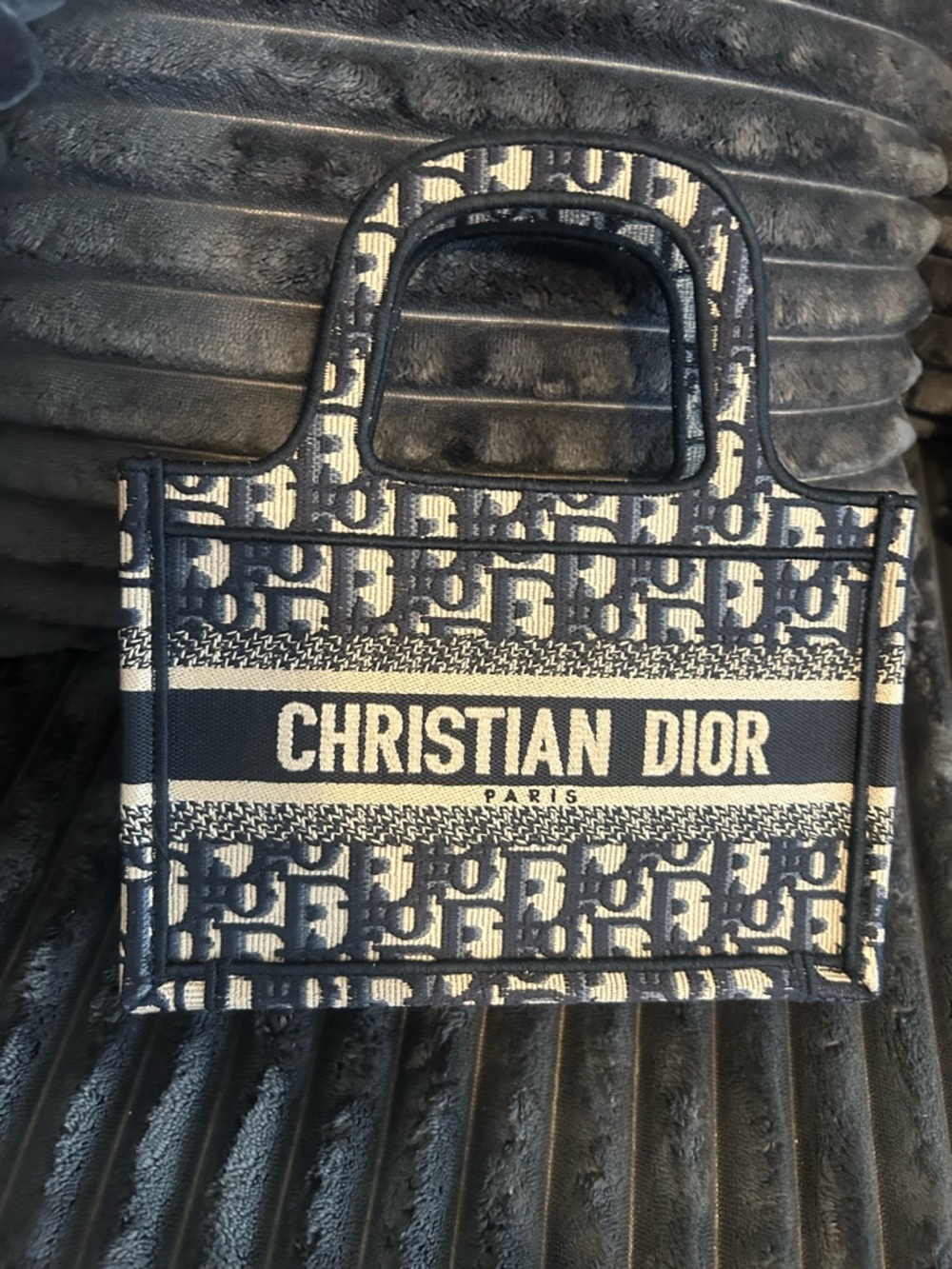 Dior Navy and Cream Christian Dior Book Tote